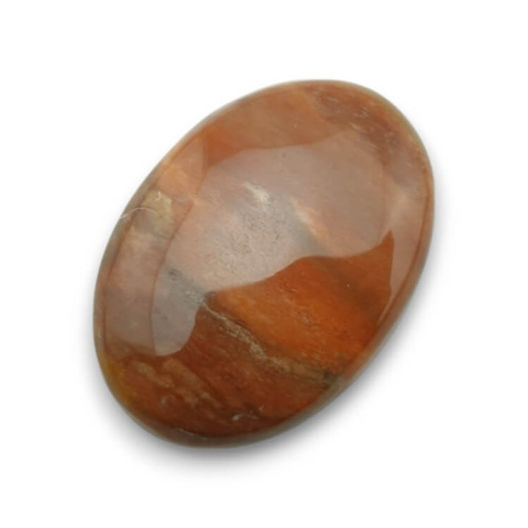Petrified wood cabochon 31x22 mm no. 37 Petrified wood cabochon 31x22 mm no. 37