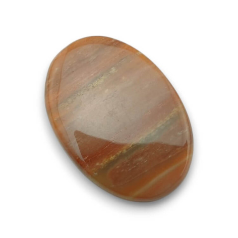 Petrified wood cabochon 31x22 mm no. 48 Petrified wood cabochon 31x22 mm no. 48