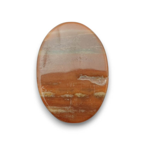 Petrified wood cabochon 31x22 mm no. 48 Petrified wood cabochon 31x22 mm no. 48