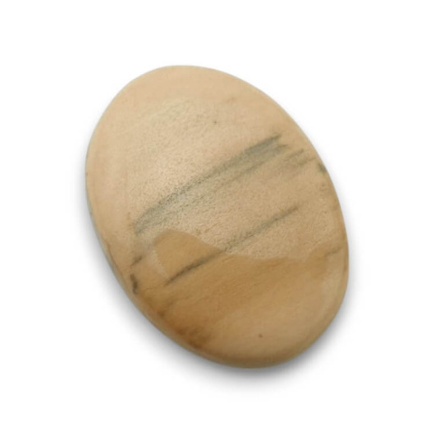Petrified wood cabochon 31x23 mm no. 36 Petrified wood cabochon 31x23 mm no. 36