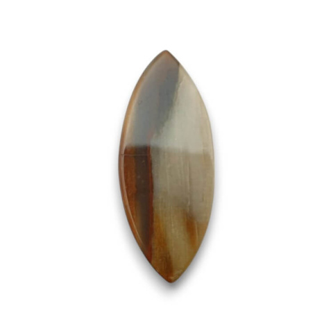 Petrified wood cabochon 32x13 mm no 44 Petrified wood cabochon 32x13 mm no 44