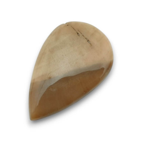 Petrified wood cabochon 32x20 mm no. 47 Petrified wood cabochon 32x20 mm no. 47