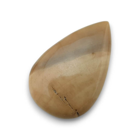 Petrified wood cabochon 32x20 mm no. 47 Petrified wood cabochon 32x20 mm no. 47