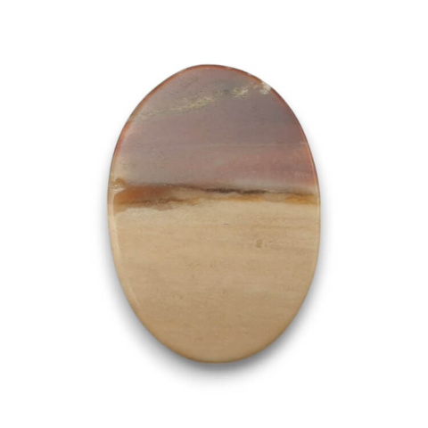 Petrified wood cabochon 33x23 mm no. 33 Petrified wood cabochon 33x23 mm no. 33