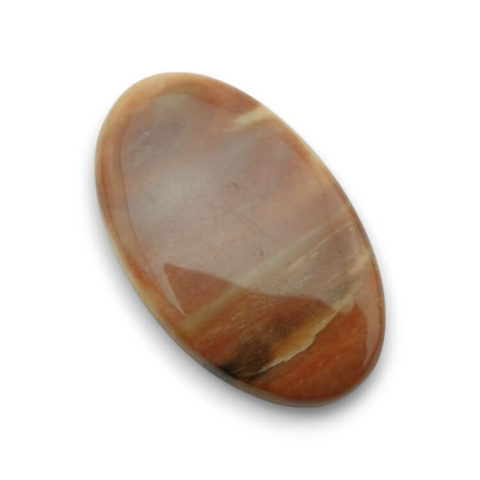 Petrified wood cabochon 34x21 mm no. 32 Petrified wood cabochon 34x21 mm no. 32