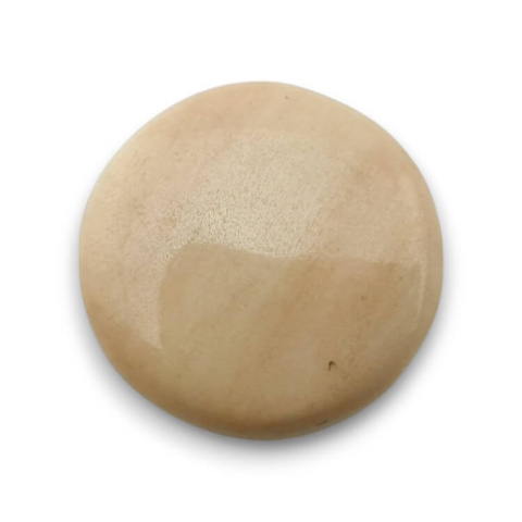 Petrified wood cabochon fi 23 mm no. 62 Petrified wood cabochon fi 23 mm no. 62
