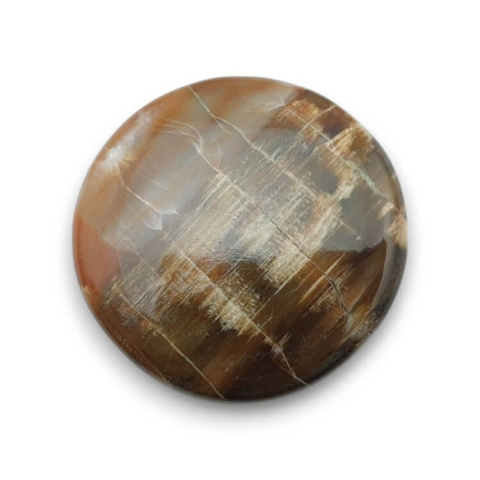 Petrified wood cabochon fi 26x mm no 50 Petrified wood cabochon fi 26x mm no 50
