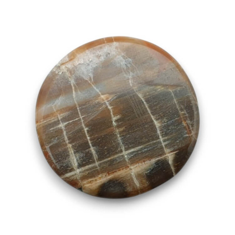Petrified wood cabochon fi 26x mm no 50 Petrified wood cabochon fi 26x mm no 50