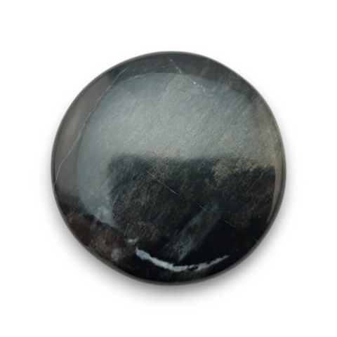 Petrified wood cabochon fi 29x mm no. 60 Petrified wood cabochon fi 29x mm no. 60
