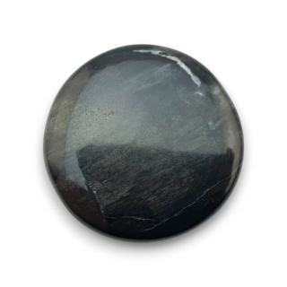 Skamieniałe drewno kaboszon fi 29x mm nr 60