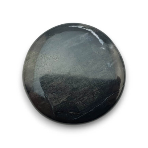 Petrified wood cabochon fi 29x mm no. 60 Petrified wood cabochon fi 29x mm no. 60