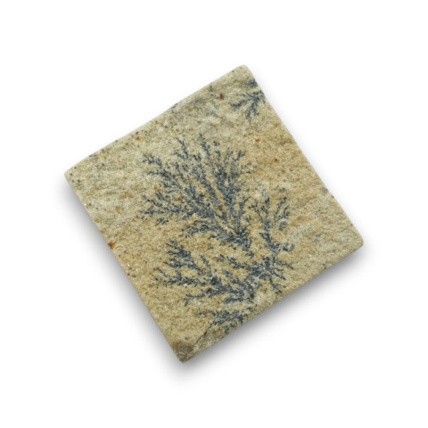 Dendrite of psylomelane 27x26 mm no. 38 Dendrite of psylomelane 27x26 mm no. 38