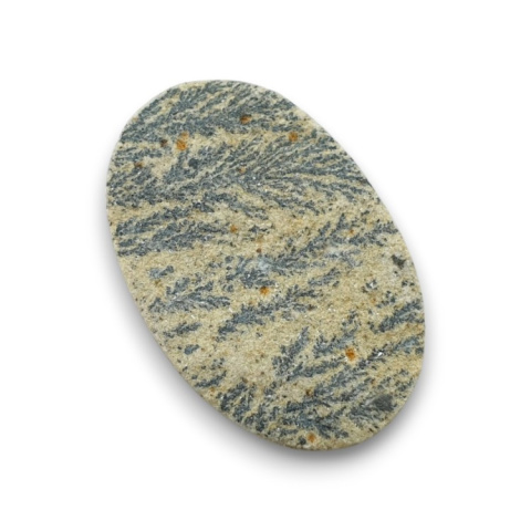 Psilomelane dendrite 33x22 mm No. 36 Psilomelane dendrite 33x22 mm No. 36