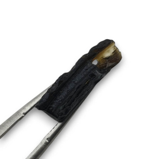 Tektyt sopel 18x9 mm nr 79