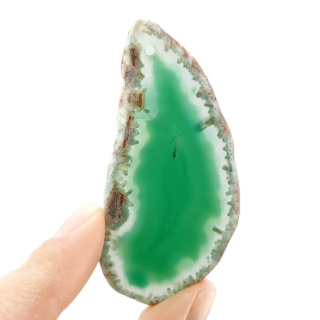 Agat plaster z dziurką 66x32 mm nr 555