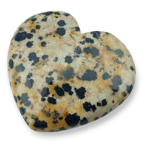 Dalmatian jasper cabochon heart 33x31 mm nr G39 Dalmatian jasper cabochon heart 33x31 mm nr G39