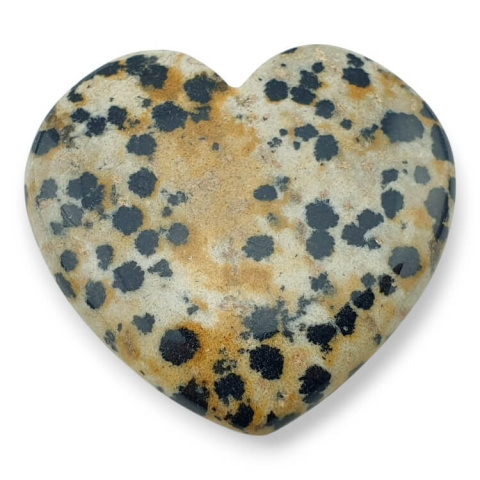 Dalmatian jasper cabochon heart 33x31 mm nr G39 Dalmatian jasper cabochon heart 33x31 mm nr G39