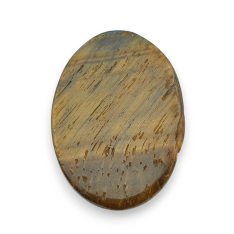Tiger's eye carved cabochon 28x20 mm no 19 Tiger's eye carved cabochon 28x20 mm no 19