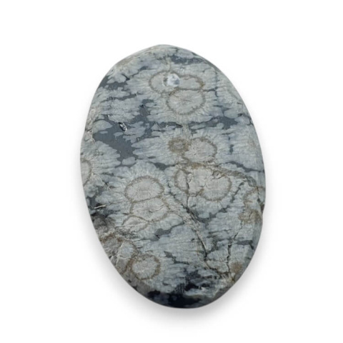Snow obsidian cabochon carved 26x17 mm no 36 Snow obsidian cabochon carved 26x17 mm no 36