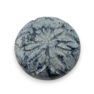 Snow obsidian cabochon carved fi 23 mm no 43