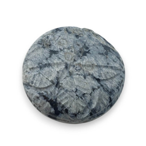 Snow obsidian cabochon carved fi 24 mm no 24 Snow obsidian cabochon carved fi 24 mm no 24