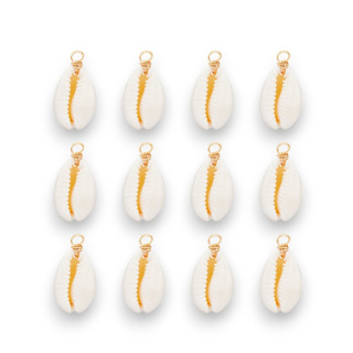 Kauri shell mini pendant 18-22 mm 4 pcs gold color