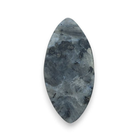 Larvikite carved cabochon 28x13 mm no 70 Larvikite carved cabochon 28x13 mm no 70