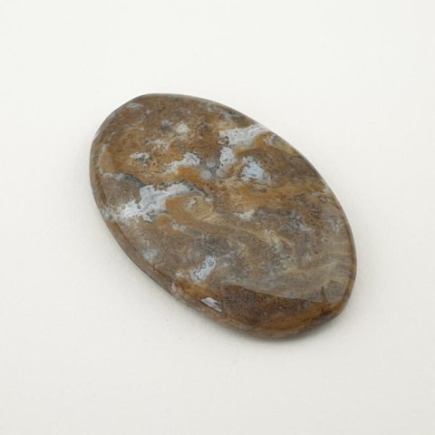 Bloodstone cabochon 32x20 mm no 75 Bloodstone cabochon 32x20 mm no 75