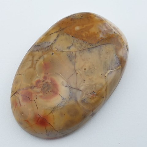 Jasper bird's eye cabochon 3.6x2.3 cm no. 1 Jasper bird's eye cabochon 3.6x2.3 cm no. 1