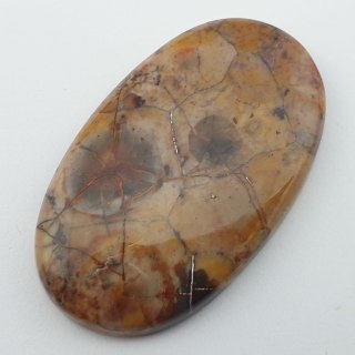 Jasper bird's eye cabochon 3.8x2.3 cm no. 15