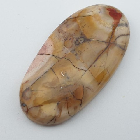 Jasper bird's eye cabochon 3.9x2.0 cm no. 11 Jasper bird's eye cabochon 3.9x2.0 cm no. 11