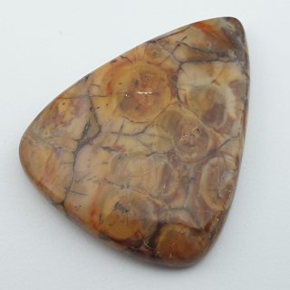 Jasper bird's eye cabochon 4.2x3.2 cm no. 2