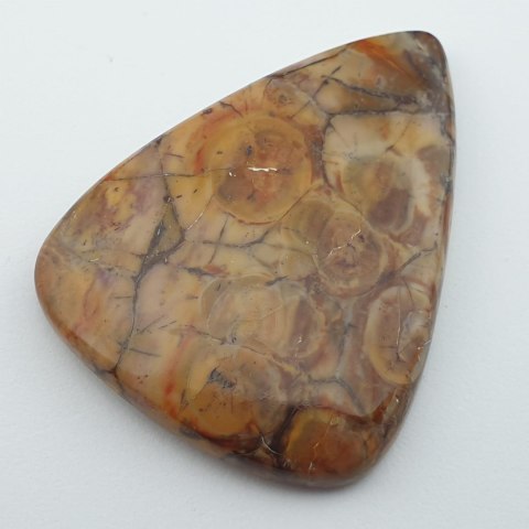 Jasper bird's eye cabochon 4.2x3.2 cm no 2 Jasper bird's eye cabochon 4.2x3.2 cm no 2