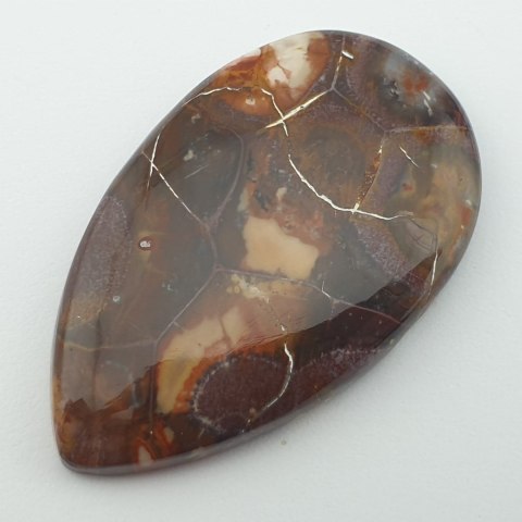 Jasper bird's eye cabochon 4.3x2.6 cm no. 25 Jasper bird's eye cabochon 4.3x2.6 cm no. 25
