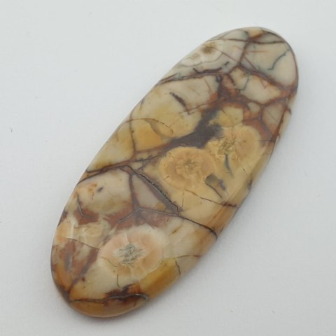 Jasper bird's eye cabochon 4.6x1.9 cm no. 18 Jasper bird's eye cabochon 4.6x1.9 cm no. 18