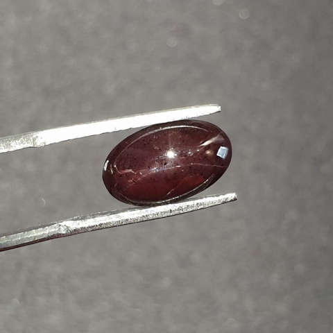 Star garnet cabochon 12x7 mm no 58 Star garnet cabochon 12x7 mm no 58