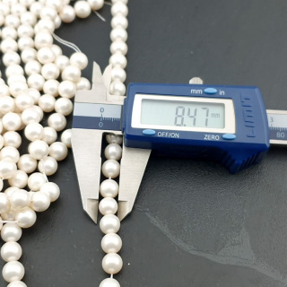 Seashell beads sphere 8 mm 10 pcs