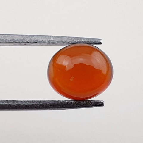 Garnet Hessonite cabochon 8x7 mm no 11 Garnet Hessonite cabochon 8x7 mm no 11