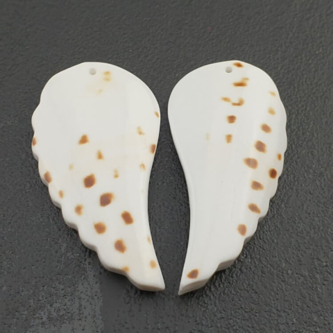 Shell wings with hole 38-41 mm pair Shell wings with hole 38-41 mm pair