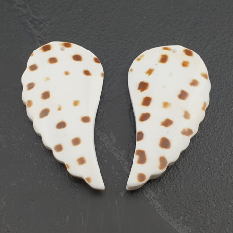 Shell wings with hole 38-41 mm pair Shell wings with hole 38-41 mm pair