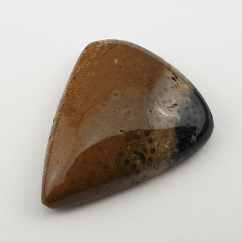 Palm root agate cabochon 26x21 mm no 20 Palm root agate cabochon 26x21 mm no 20