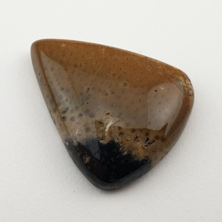 Palm root agate cabochon 26x21 mm no 20