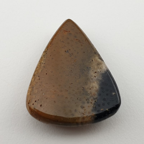 Palm root agate cabochon 26x21 mm no 20 Palm root agate cabochon 26x21 mm no 20