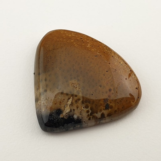 Palm root agate cabochon 26x24 mm no 21