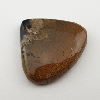 Palm root agate cabochon 26x24 mm no 21