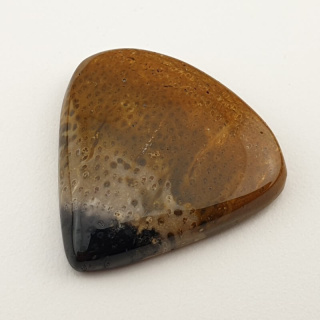 Palm root agate cabochon 26x26 mm no 49