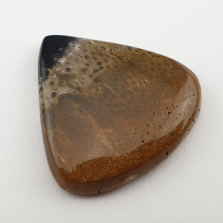 Palm root agate cabochon 26x26 mm no 49