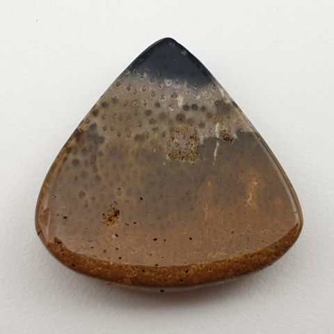 Palm root agate cabochon 26x26 mm no 49 Palm root agate cabochon 26x26 mm no 49