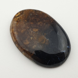 Palm root agate cabochon 34x23 mm no 13