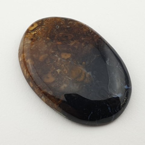Palm root agate cabochon 34x23 mm no 13 Palm root agate cabochon 34x23 mm no 13